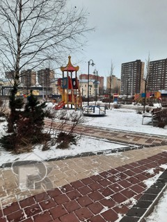 Купить студию, №388581