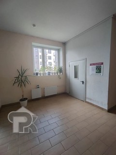 Купить студию, №390742