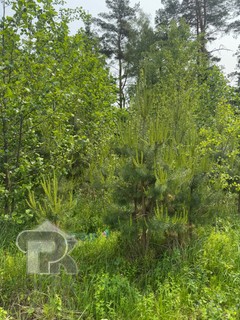 Купить землю, №383563