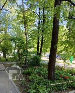 Купить 2-комнатную квартиру, №385537