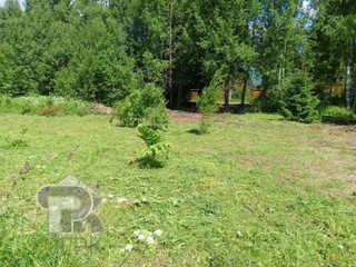 Купить землю, №352594