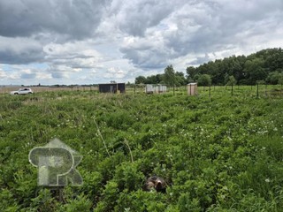Купить землю, №390160