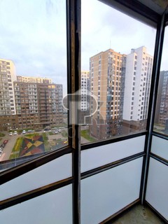 Купить студию, №387414