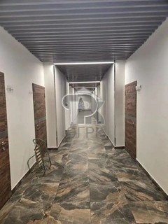 Купить студию, №389336