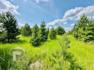 Купить землю, №385901