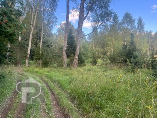 Купить землю, №386423