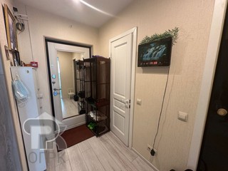 Купить 1-комнатную квартиру, №384717