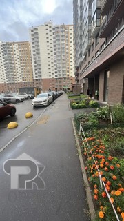 Купить 1-комнатную квартиру, №391606