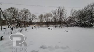 Купить дом, №388181