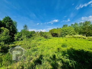 Купить землю, №390518