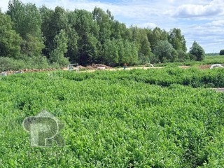 Купить землю, №390176