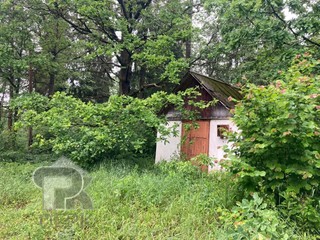 Купить землю, №384981