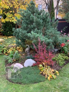 Купить коттедж, №388289