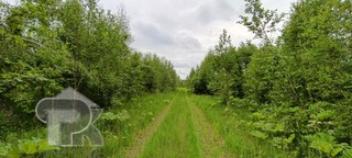 Купить землю, №386112