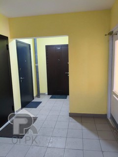 Купить студию, №388184