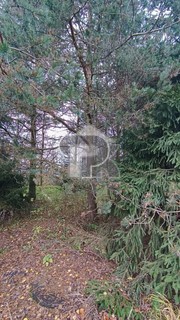 Купить землю, №384782