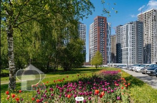 Купить 3-комнатную квартиру, №392061