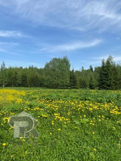 Купить землю, №390519