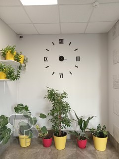 Купить 1-комнатную квартиру, №390072
