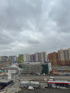 Купить студию, №384790