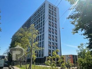 Купить студию, №384644