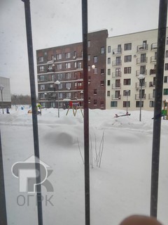 Купить студию, №388496