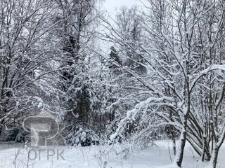 Купить землю, №386363