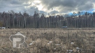 Купить землю, №386732