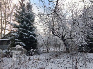 Купить землю, №387617