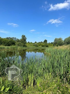 Купить студию, №387567