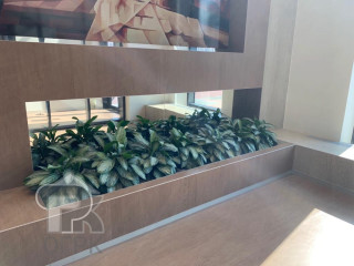 Купить студию, №316493