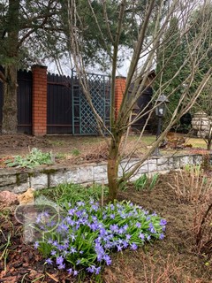 Купить коттедж, №388289