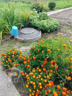 Купить дом, №391492