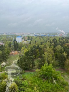 Купить 1-комнатную квартиру, №386260