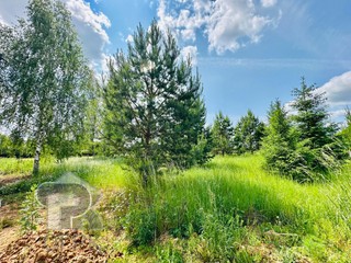 Купить землю, №385901