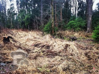 Купить землю, №381126