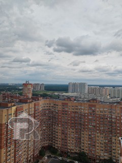 Купить студию, №390812