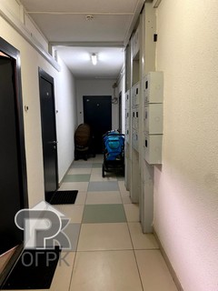 Купить студию, №388064