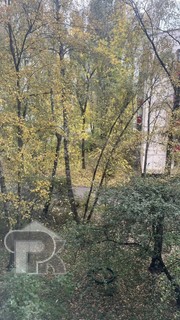 Купить 1-комнатную квартиру, №392396