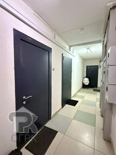 Купить студию, №389315