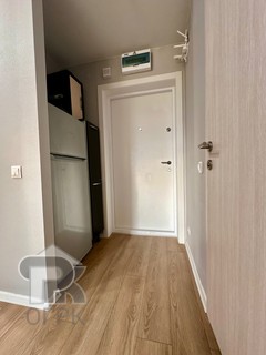 Купить 1-комнатную квартиру, №390107