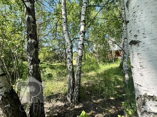 Купить землю, №390005
