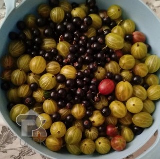 Купить дом, №391390