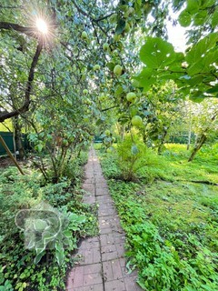 Купить землю, №386725
