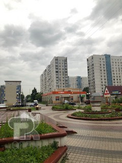 Купить 3-комнатную квартиру, №369980