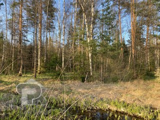 Купить землю, №384604