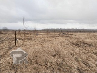 Купить землю, №389360