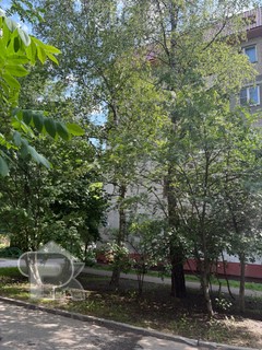 Купить 1-комнатную квартиру, №385882