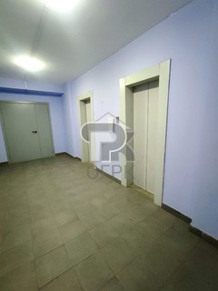 Купить студию, №387700