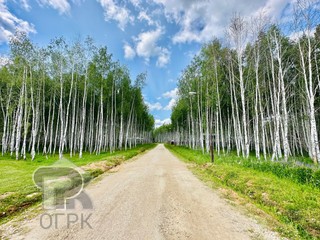 Купить землю, №385899